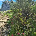 Johannas Alm * Garmisch-Partenkirchen
