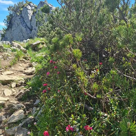 Johannas Alm * Garmisch-Partenkirchen